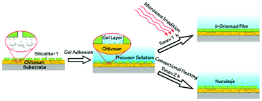 Graphical abstract: Microwave-assisted seeded growth of the submicrometer-thick and pure b-oriented MFI zeolite films using an ultra-dilute synthesis solution