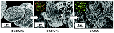 Graphical abstract: Microscale pin holders of β-Co(OH)2 and LiCoO2 having a single-crystalline feature