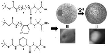 Graphical abstract: Fabrication of microspheres from self-assembled γ-peptides