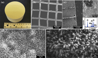 Graphical abstract: Single crystalline brookite titanium dioxide nanorod arrays rooted on ceramic monoliths: a hybrid nanocatalyst support with ultra-high surface area and thermal stability