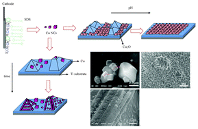 Graphical abstract: Copper nanocubes and nanostructured cuprous oxide prepared by surfactant-assisted electrochemical deposition
