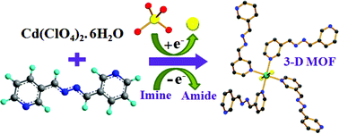 Graphical abstract: Formation of three new metal organic hybrids of Cd(ii) with N,N′ donor spacer: an in situ perchlorate to chloride transformation