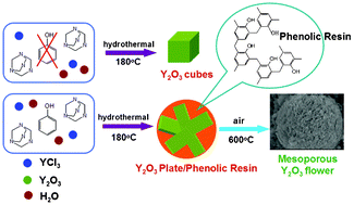 Graphical abstract: Hydrothermal synthesis of Lewis acid Y2O3 cubes and flowers for the removal of phospholipids from soybean oil
