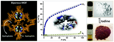 Graphical abstract: Bi-porous metal–organic framework with hydrophilic and hydrophobic channels: selective gas sorption and reversible iodine uptake studies