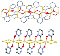 Graphical abstract: Polymorphism in unusual one-dimensional coordination polymers based on cadmium(ii) and 2-mercaptopyridine N-oxide