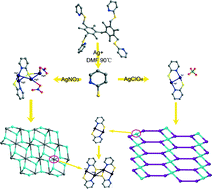 Graphical abstract: Anion-controlled formation of two silver lamella frameworks based on in situ ligand reaction