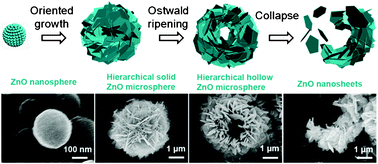 Graphical abstract: Template-free synthesis and gas sensing properties of hierarchical hollow ZnO microspheres