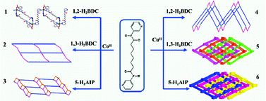 Graphical abstract: Role of aromatic dicarboxylates in the structural diversity of cobalt(ii) and copper(ii) coordination polymers containing a flexible N,N′-di(3-pyridyl)octanediamide ligand