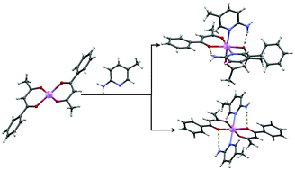 Graphical abstract: Tuning of coordination geometry via cooperation of inter- and intramolecular hydrogen bonds in bis(benzoylacetonato)manganese(ii) adducts with pyridine derivatives