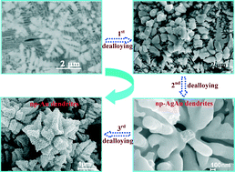 Graphical abstract: Formation and evolution of nanoporous dendrites during dealloying of a ternary Al–Ag–Au precursor