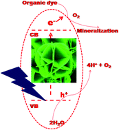 Graphical abstract: Robust cubooctahedron Zn3V2O8 in gram quantity: a material for photocatalytic dye degradation in water