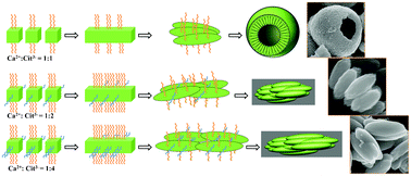 Graphical abstract: Effect of sodium citrate on the shape and photoluminescence properties of CaWO4:Eu3+ superstructures synthesized by the hydrothermal method