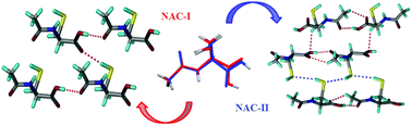 Graphical abstract: A new conformational polymorph of N-acetyl-l-cysteine. The role of S–H⋯O and C–H⋯O interactions