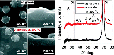 Graphical abstract: Kinetics of anatase phase formation in TiO2 films during atomic layer deposition and post-deposition annealing