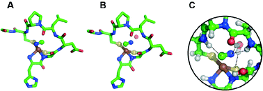 Graphical abstract: NMR crystallography of amides, peptides and protein–ligand complexes