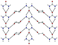 Graphical abstract: Packing principles for urea and thiourea solvates: structures of urea : morpholine (1 : 1), urea : 1,4-dioxane (1 : 1), thiourea : morpholine (4 : 3) and thiourea : 1,4-dioxane (4 : 1)