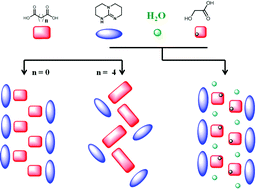 Graphical abstract: Supramolecular 1D ribbons in complexes between a bicyclic-guanidine derivative and di- or monocarboxylic acids