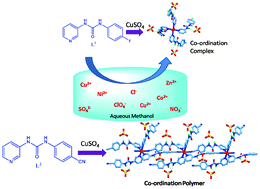 Graphical abstract: Effect of coordinating (–CN) vs. non-coordinating (–F) substituents in 3-pyridyl urea receptors toward second sphere sulfate recognition: selective crystallisation of CuSO4 from mixtures of competing anions/cations