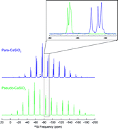 Graphical abstract: Beyond periodicity: probing disorder in crystalline materials by solid-state nuclear magnetic resonance spectroscopy