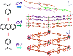 Graphical abstract: Various crystal structures based on 4,4′-(diethynylanthracene-9,10-diyl) dibenzoic acid: from 0D dimer to 3D net framework