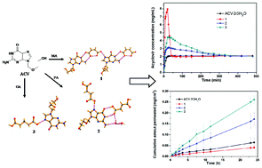 Graphical abstract: Simultaneously enhancing the solubility and permeability of acyclovir by crystal engineering approach