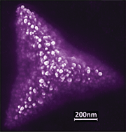 Graphical abstract: Unusual silver nanostructures prepared by aerosol spray pyrolysis