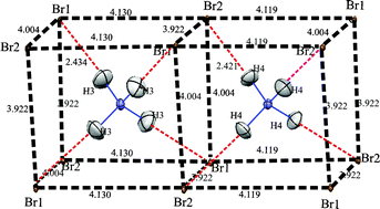 Graphical abstract: Ferroelastoelectric ordering in (NH4)2CuBr4·2H2O single crystal