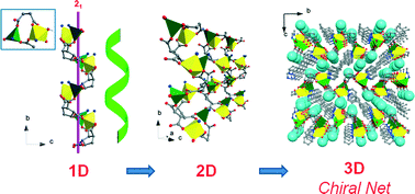 Graphical abstract: In situ resolved ligand chirality in preparing a chiral 3D zinc–cyclopentane–tetracarboxylate based coordination polymer
