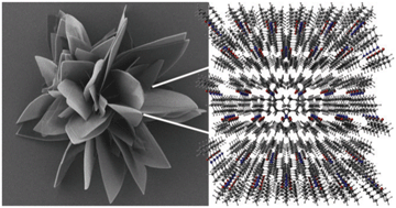 Graphical abstract: NMR-crystallographic study of two-dimensionally self-assembled cyclohexane-based low-molecular-mass organic compounds