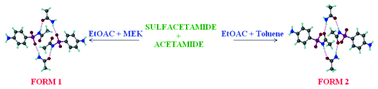 Graphical abstract: Synthon polymorphs of sulfacetamide–acetamide cocrystal based on N–H⋯O [[double bond, length as m-dash]] S and N–H⋯O [[double bond, length as m-dash]] C hydrogen bonding