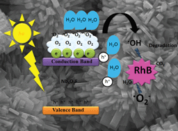 Graphical abstract: Facile synthesis of novel Nb3O7F nanoflowers, their optical and photocatalytic properties