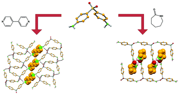 Graphical abstract: An insight into dapsone co-crystals: sulfones as participants in supramolecular interactions