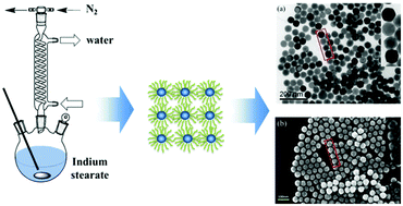 Graphical abstract: Synthesis and characterization of nearly monodisperse deltoidal icositetrahedral In2O3 nanocrystals via one-pot pyrolysis reaction