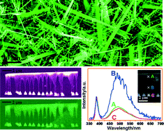 Graphical abstract: The structural and optical properties of a single ZnO comb and an individual nail-like tooth