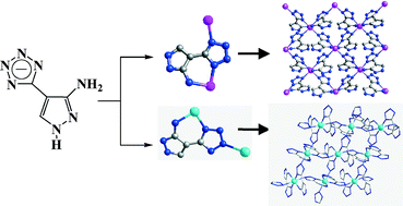 Graphical abstract: A series of coordination polymers based on a 5-(3′-amine-1′H-pyrazol-4′-yl)-1H-tetrazole ligand: synthesis, structure and properties