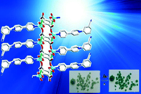 Graphical abstract: A stimuli-responsive zinc-based chain framework constructed via metal–ligand directed assembly