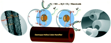 Graphical abstract: A well-designed three-dimensional ternary hierarchical co-axial ZnO@ZnS heteroarchitecture decorated electrospun carbon hollow tube nanofibrous mat: improved ultraviolet-light photocatalytic performance
