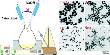 Graphical abstract: Size control of monodisperse Au nanoparticles synthesized via a citrate reduction process associated with a pH-shifting procedure