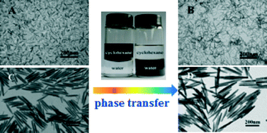 Graphical abstract: Solvothermal synthesis of tunable iron oxide nanorods and their transfer from organic phase to water phase