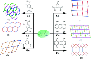 Graphical abstract: Construction of coordination polymers based on methylenebis(3,5-dimethylpyrazole) and varied aromatic carboxylic acids