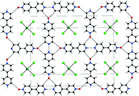 Graphical abstract: Protonated N-oxide-4,4′-bipyridine: from luminescent BiIII complexes to hybrids based on H-bonded dimers or H-bonded open 2D square supramolecular networks