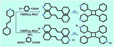 Graphical abstract: Regiospecific photodimerization reactions of an unsymmetrical alkene in two coordination compounds