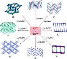 Graphical abstract: Construction of N,N′-di(3-pyridyl)adipoamide-based Zn(ii) and Cd(ii) coordination networks by tuning the isomeric effect of polycarboxylate ligands