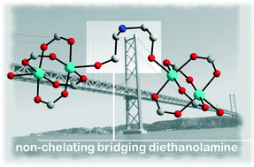 Graphical abstract: How to force a classical chelating ligand to a metal non-chelating bridge: the observation of a rare coordination mode of diethanolamine in the 1D complex {[Cu2(Piv)4(H3tBuDea)](Piv)}n