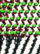 Graphical abstract: Oriented crystal growth on organic monolayers