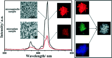 Graphical abstract: Morphology controllable synthesis of NaLa(WO4)2: the morphology dependent photoluminescent properties and single-phased white light emission of NaLa(WO4)2: Eu3+/Tb3+/Tm3+