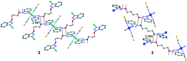 Graphical abstract: An unusual nitroso⋯nitroso interaction in the coordination polymer structures of Ni(ii) and Co(ii) complexes with the α,ω-bis(benzotriazoloxy)alkane system