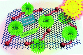 Graphical abstract: One-pot synthesis of CdS–reduced graphene oxide 3D composites with enhanced photocatalytic properties