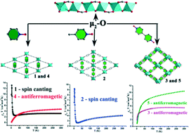 Graphical abstract: Structural and magnetic investigation of CoII/MnII-based MIL-53 analogues with mixed ligands of neutral N-oxides and organic carboxylates