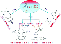 Graphical abstract: Celecoxib cocrystal polymorphs with cyclic amides: synthons of a sulfonamide drug with carboxamide coformers